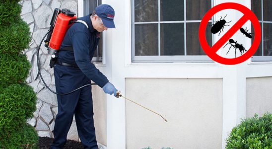 Sarayköy Sivrisinek İlaçlama böcek ilaçlama ve haşere kontrolü — ilaclama-tr.com